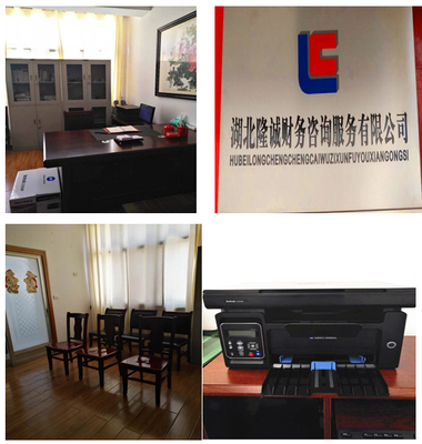 湖北隆誠財務咨詢服務 專業賦能，助力企業穩健發展